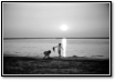 24sunset